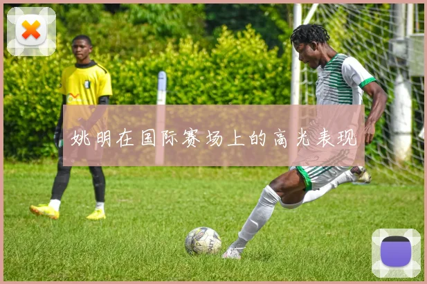 姚明在国际赛场上的高光表现